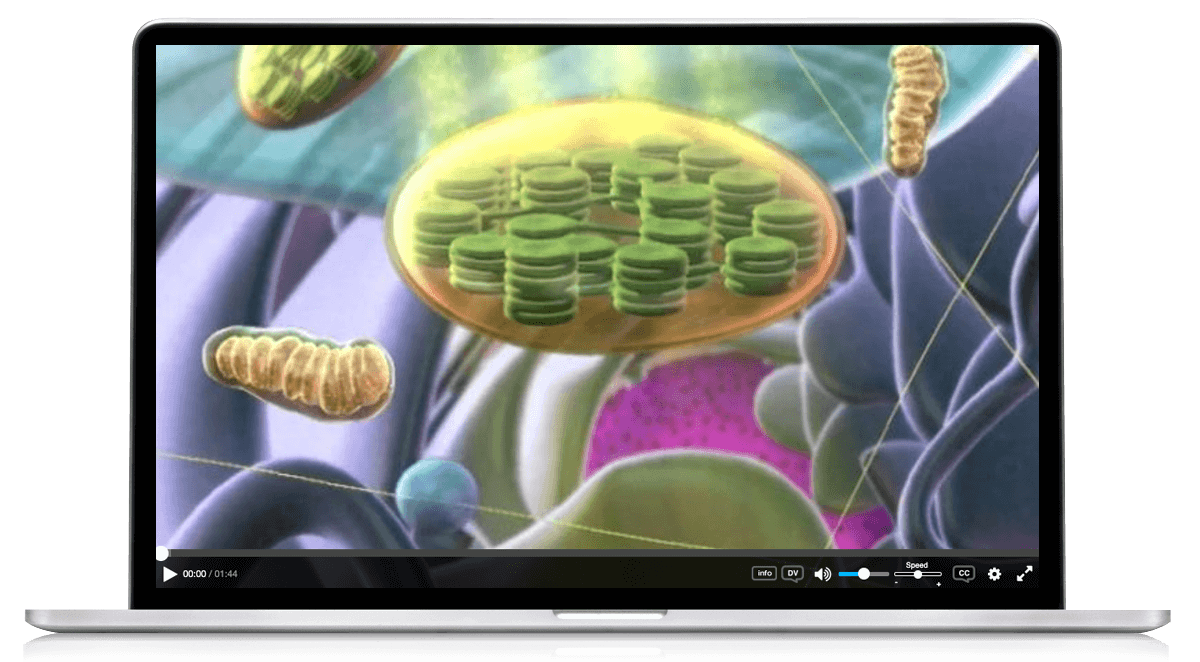 BioFlix 3D Animations
